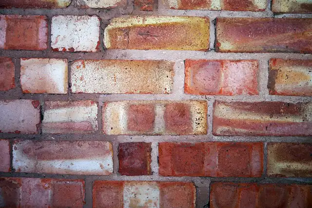 Foundation & Structural Integrity